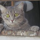 ���� ������!, �����������, 52 ���� - ��������� 28 ������ 2013 � ������ ������ 2013!!!!!!!!!�