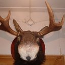 ���� �����, ������ - ��������� 14 ������� 2011 � ������ �������