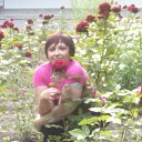 ���� ���������, ����-�����������, 47 ��� - ��������� 11 ���� 2013 � ������ ���� ����������