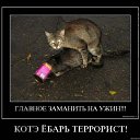 ���� ��������, �����-���������, 39 ��� - ��������� 29 ������� 2009 � ������ ������� �������� =)�