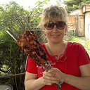 ���� �����, ����, 59 ��� - ��������� 15 ���� 2012 � ������ ��� ����