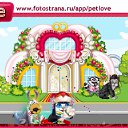  , , 84  -  8  2010   PetLove