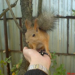 ���� ������, ������, 23 ���� - ��������� 10 ������� 2011