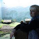 ���� �������, ������, 49 ��� - ��������� 19 ����� 2012 � ������ ����������� 2012�