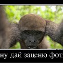 ���� ��������, ��������� - ��������� 14 ���� 2012 � ������ ���� ����������