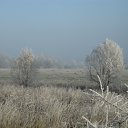 ���� �������, �������, 57 ��� - ��������� 16 ������ 2012 � ������ ����� ������� �����