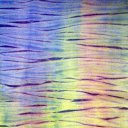 ���� �����, ������ �������� - ��������� 1 ������� 2009 � ������ ������