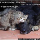 ���� ����, ����������� - ��������� 10 ������� 2010 � ������ ������� ���� �������) ����� 2�