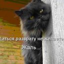���� ������, ����������, 54 ���� - ��������� 13 �������� 2011