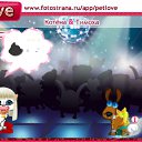   (),  -  20  2010   PetLove