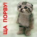  Neznokomits, , 42  -  24  2011