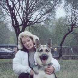 ���� �����, ������ - ��������� 12 ���� 2013