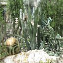 ���� �����, ���������, 34 ���� - ��������� 15 ������ 2009 � ������ ������ �� � ������� ����������?�