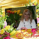 ���� �������, ����, 84 ���� - ��������� 8 ����� 2013 � ������ ���� ����������