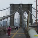 ���� �����, �����-���������, 42 ���� - ��������� 14 ������� 2010 � ������ ���� ����������