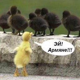 ���� ������, ���������, 54 ���� - ��������� 2 ������ 2011