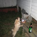 ���� ������, ������ - ��������� 14 ����� 2011 � ������ ���� � � ��� ������...�