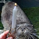 ���� ����� - ���������� ��������!!!, �����������, 56 ��� - ��������� 14 ���� 2010 � ������ �� ����� �������� � ... �� ������