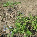 ���� �����, ��������, 55 ��� - ��������� 23 ������ 2012 � ������ �������