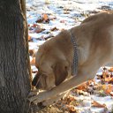 ���� ���, ������ - ��������� 24 ������ 2011 � ������ �������