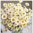  Back To Real Life, , 57  -  1  2012    