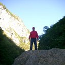  , -, 55  -  10  2010    