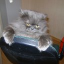 ���� ����, �����-���������, 70 ��� - ��������� 28 ������� 2012 � ������ �������