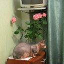 ���� �����, ������ - ��������� 28 ������� 2011 � ������ ���������� ������