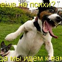 ���� �����, �������, 56 ��� - ��������� 12 ��� 2011 � ������ ���� ����������