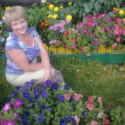 ���� �������, ���������, 68 ���