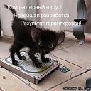 ���� ����������, ������ �������� - ��������� 11 ������ 2013 � ������ ������ ��������