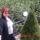 ���� �����, ������-��-����, 68 ��� - ��������� 23 ������ 2012 � ������ ���� ����������