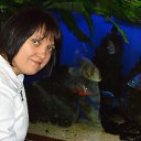 ���� ��������, ���������, 49 ��� - ��������� 1 ������ 2012