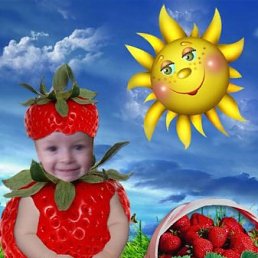 �������, ���������, 51 ���