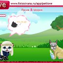   ( -  ), , 37  -  13  2010   PetLove