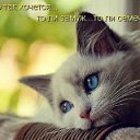 ���� �����, �����-���������, 59 ��� - ��������� 31 ���� 2012 � ������ �������