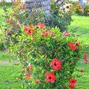 ���� ������, ������ - ��������� 20 ���� 2012 � ������ �������