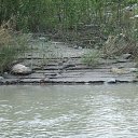  , , 41  -  23  2010   ~   ~