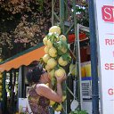 ���� ��������, �����, 54 ���� - ��������� 1 ������� 2012 � ������ ���� ����������