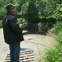  , , 36  -  31  2010    2010