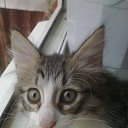 ���� Ferro, ��� - ��������� 4 ��� 2011 � ������ ���������