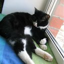 ���� ������, ������, 63 ���� - ��������� 15 ���� 2011 � ������ ���� ����-�����