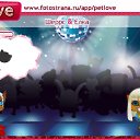  , , 49  -  8  2010   PetLove