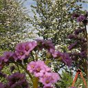 ���� ����, �����-��������� - ��������� 7 ���� 2011 � ������ ����� ���������