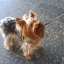 ���� �����, �����, 57 ��� - ��������� 19 ������� 2011