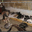 ���� ����, �����, 50 ��� - ��������� 20 ���� 2010 � ������ ������������