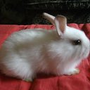 ���� ������� Nik, �����, 63 ���� - ��������� 9 ������ 2010 � ������ ������ � ��� ���������!�