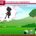 ���� �����, ������������, 30 ��� - ��������� 16 ������ 2011 � ������ �PetLove�