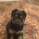 ����� ������ (���� ������)