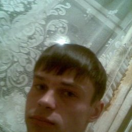 �����, 41 ���, ��������